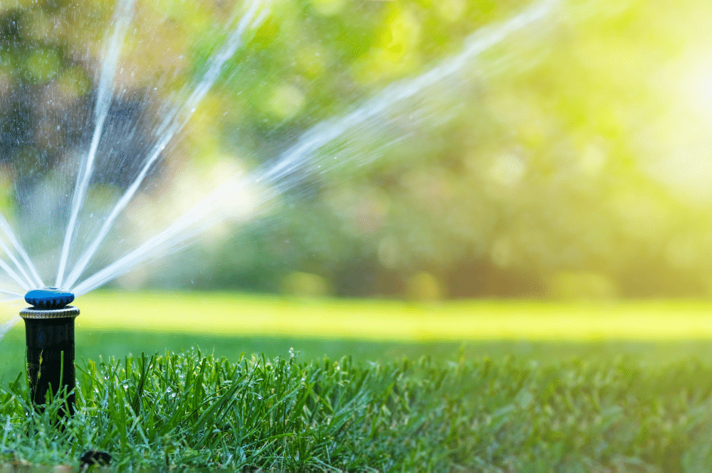 Maximizing Water Efficiency with Sprinkler Systems in Boise