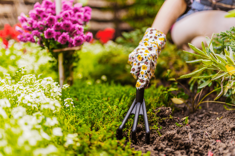 Planning Spring Cleaning to Achieve Spring Greening in the Treasure Valley