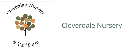 cloverdale