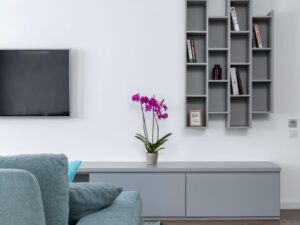 Orchid placed in living room.